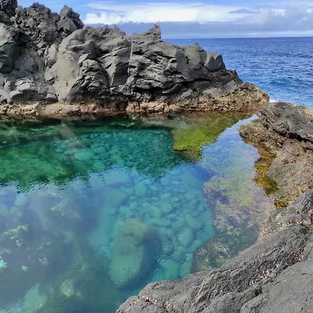 Sea Roots 
