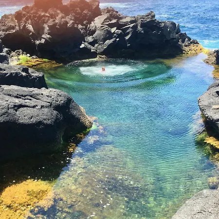 Sea Roots 