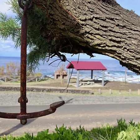 Sea Roots 