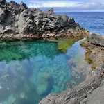 Sea Roots 