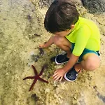 Sea Roots 