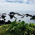 Sea Roots 