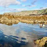 Sea Roots 