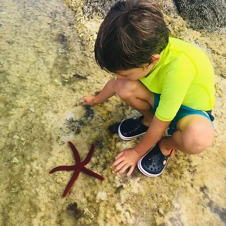 Sea Roots 