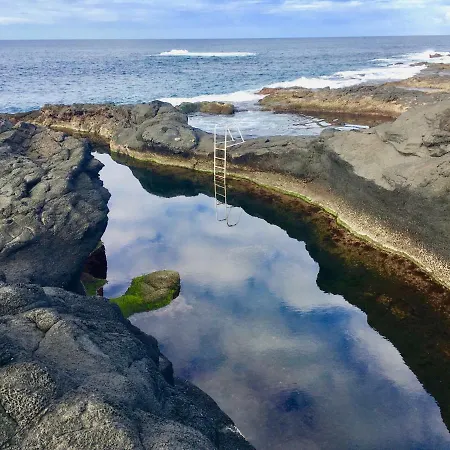 Sea Roots 