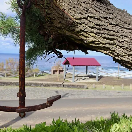 Sea Roots 